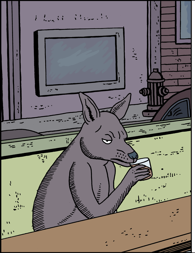 Kangaroo3a
